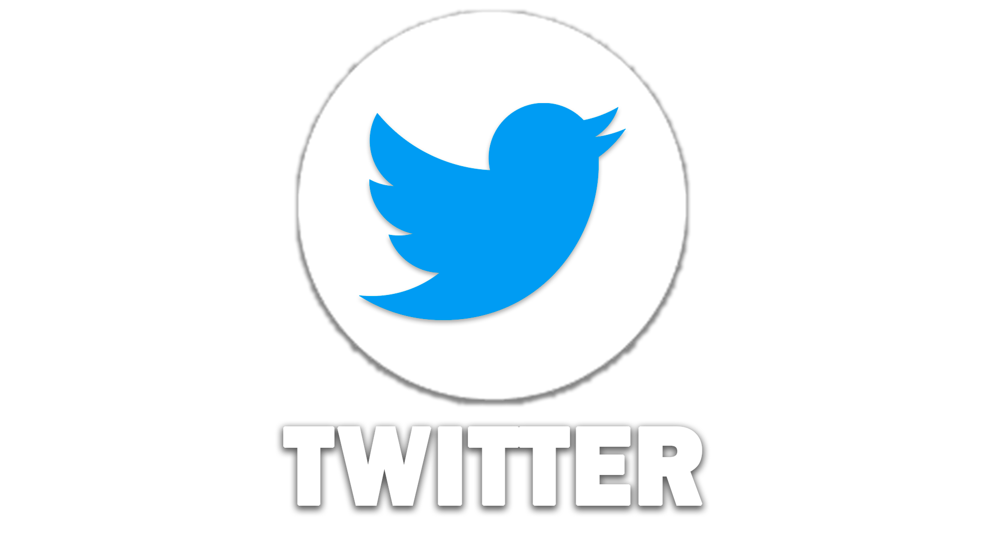 Logo Twitter